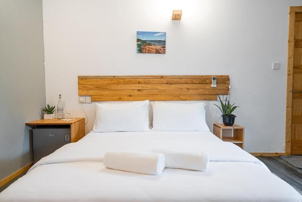 Kandithemu Inn - Property