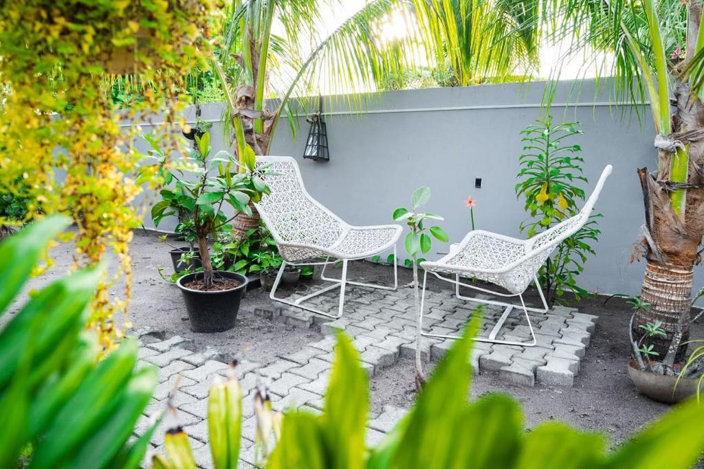 Kandithemu Inn - Property