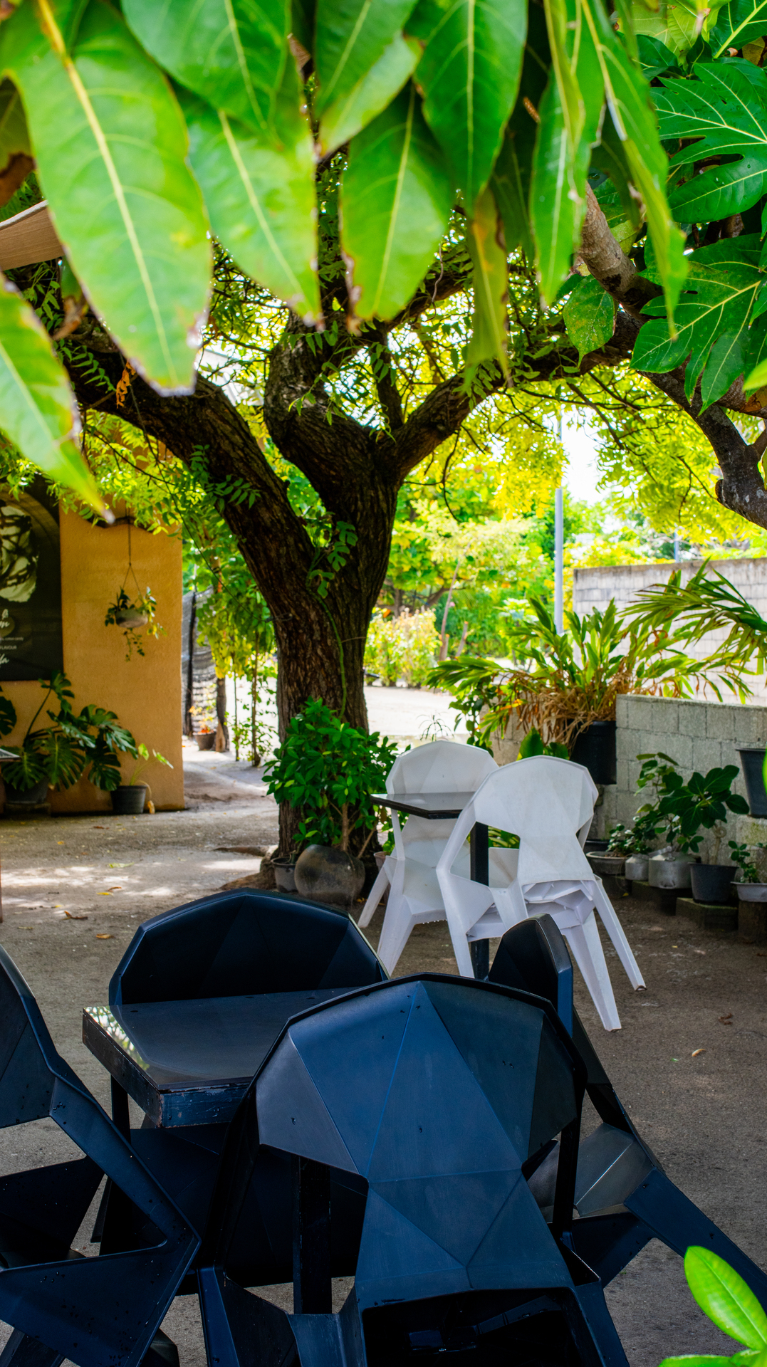 La Olla Cafe